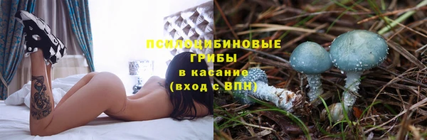 mdpv Магас