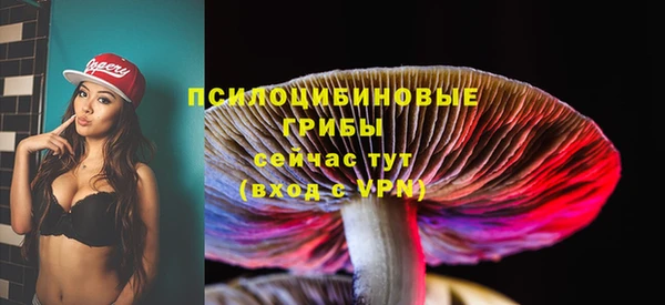 mdpv Магас