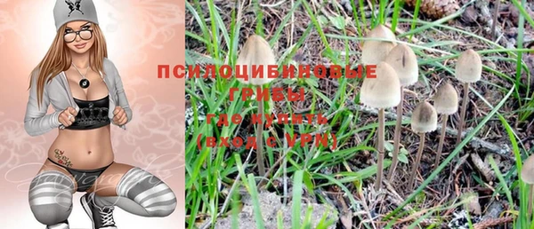 прущие крисы Магадан