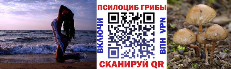 Псилоцибиновые грибы Magic Shrooms Шарья